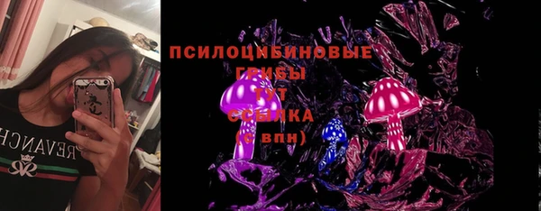 ПСИЛОЦИБИНОВЫЕ ГРИБЫ Аркадак