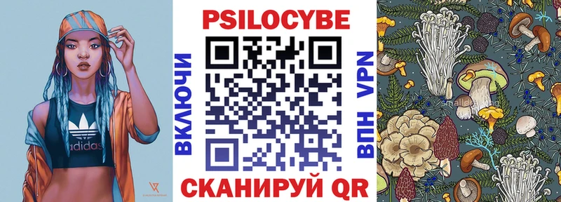 Купить закладки  Сланцы  Галлюциногенные грибы мухоморы 