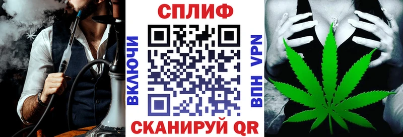 Канабис план  Купить где  Сланцы 